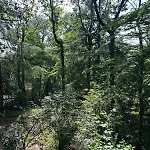 Apartmán Idyllisches Im Wald Unweit Der Loreley Bogel