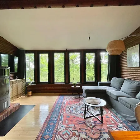 Idyllisches Im Wald Unweit Der Loreley * Bogel