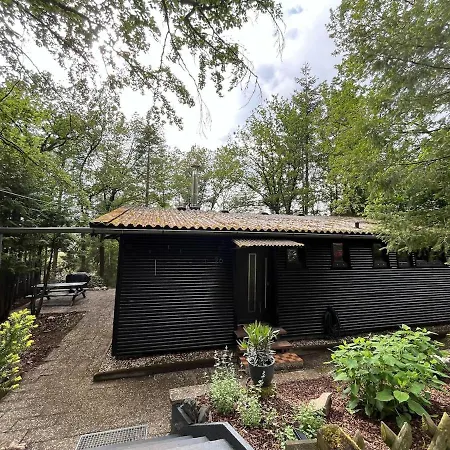 Idyllisches Im Wald Unweit Der Loreley *