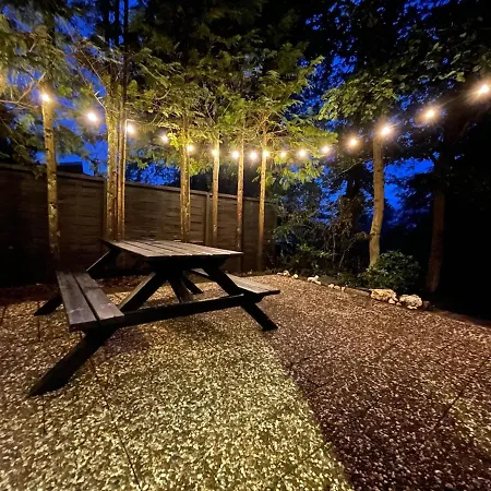 Idyllisches Im Wald Unweit Der Loreley * Bogel