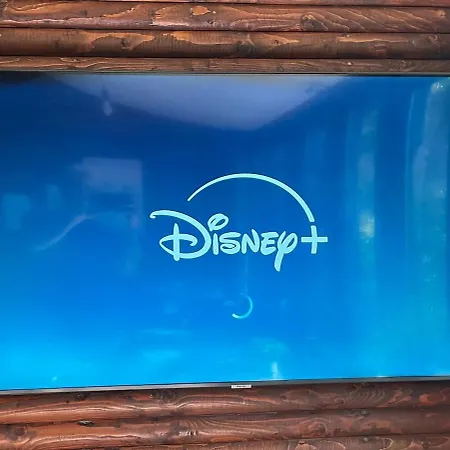 Idyllisches Im Wald Unweit Der Loreley *