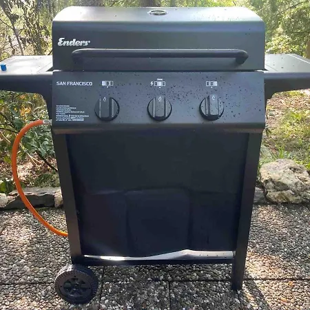 Idyllisches Im Wald Unweit Der Loreley Appartamento *