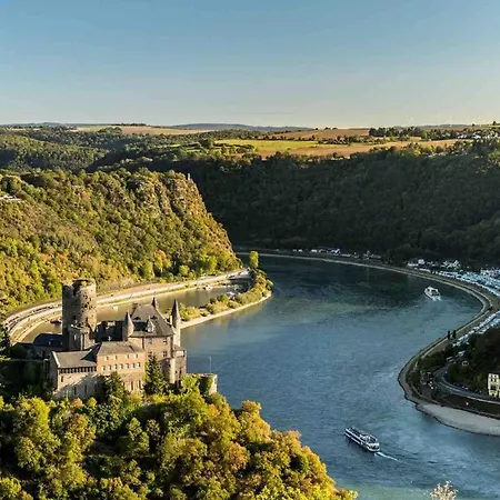 Idyllisches Im Wald Unweit Der Loreley