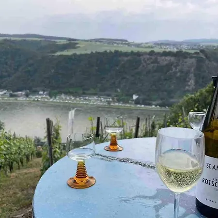Idyllisches Im Wald Unweit Der Loreley Bogel