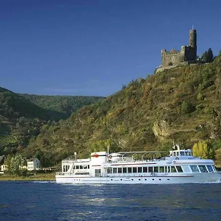 Idyllisches Im Wald Unweit Der Loreley