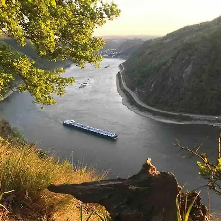 Idyllisches Im Wald Unweit Der Loreley Daire Bogel