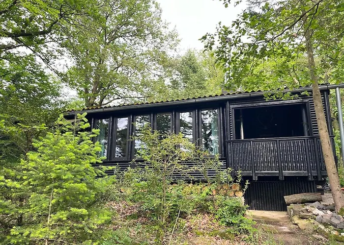 Idyllisches Im Wald Unweit Der Loreley