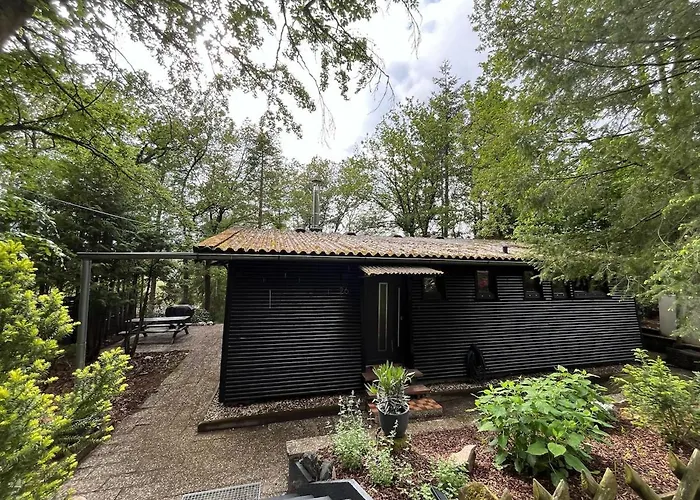 Idyllisches Im Wald Unweit Der Loreley *