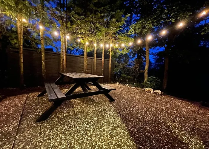 Idyllisches Im Wald Unweit Der Loreley * Bogel