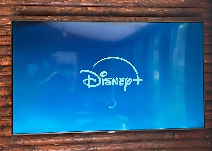 Idyllisches Im Wald Unweit Der Loreley *