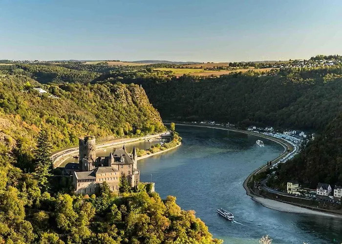 Idyllisches Im Wald Unweit Der Loreley