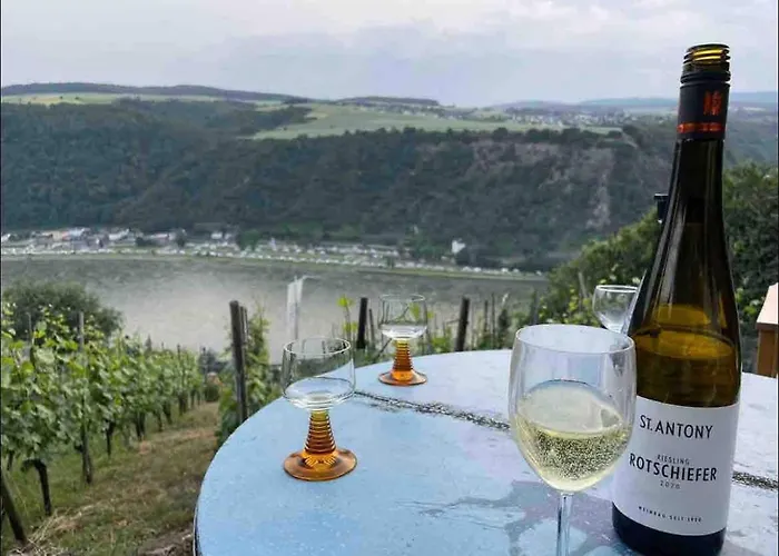 Idyllisches Im Wald Unweit Der Loreley Bogel