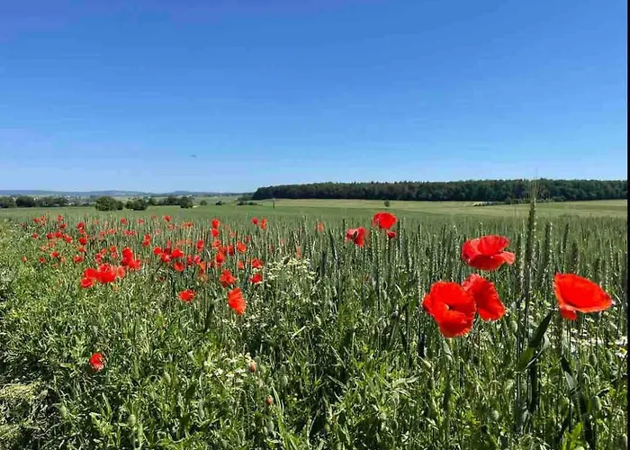 Idyllisches Im Wald Unweit Der Loreley * Bogel