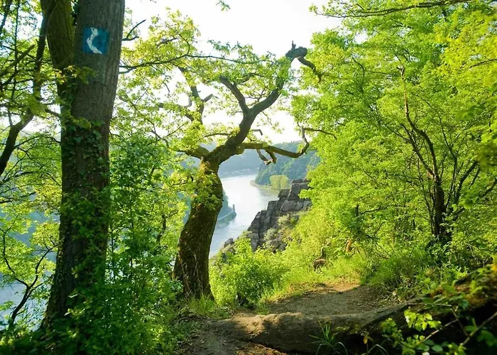 דירה Idyllisches Im Wald Unweit Der Loreley